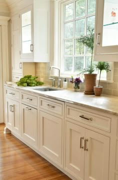 a kitchen with white cabinets and wooden floors, plants on the counter top in front of the window