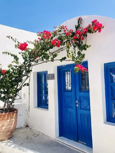 a white building with blue doors and red flowers on the outside, next to a potted plant