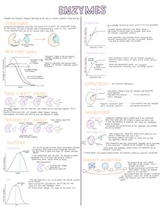 an info sheet with diagrams on the topic of energy and how to use it for presentations