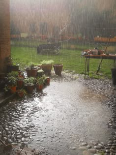 the rain is pouring down on plants and potted planters in the back yard