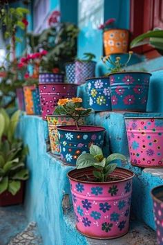 colorful flower pots are lined up on the steps