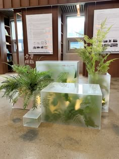 three glass planters sitting on top of a counter next to plants in vases