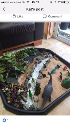 a tray filled with fake dinosaurs and rocks