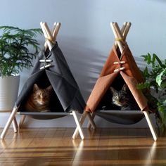 two cats are sitting in their teepees on the floor next to each other