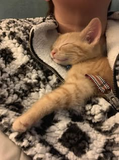 an orange cat laying on top of a woman's lap while wearing a jacket