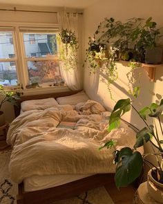 an unmade bed with plants on the window sill and in front of it