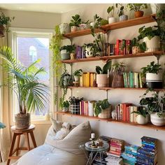 a living room filled with lots of plants and books on shelves above a couch next to a window