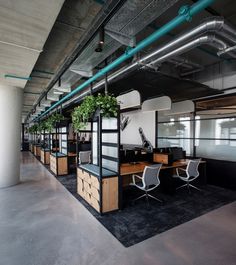 an office area with desks, chairs and plants