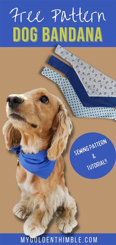 dog bandana pattern Scarf For Dogs Diy, Doggie Bandanna Pattern, How To Make Dog Collar Bandanas, Diy Doggie Bandana, Template For Dog Bandana, Sewing Pattern For Dog Bandana, Dog Bandana Diy Pattern, How To Make Dog Scarves Free Pattern