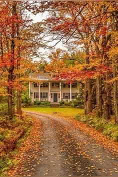 a white house surrounded by trees with fall foliage on the ground and leaves all around it