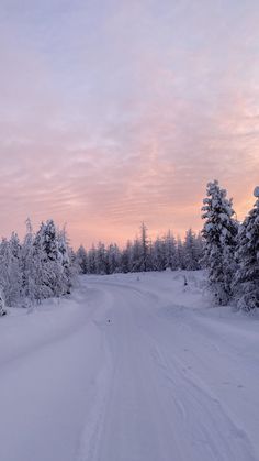 a road that is covered in snow next to some trees and bushes with the sun going down