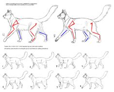 how to draw a cat step by step drawing instructions for beginners and advanced students