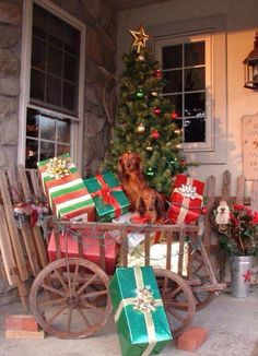 a dog is sitting in front of a christmas tree with presents on the back porch