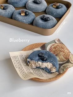 blueberry donuts are sitting on a plate next to an open book