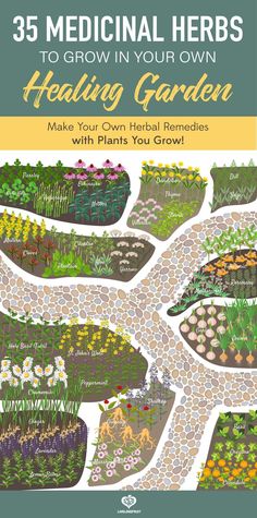 the cover of 35 medical herbs to grow in your own garden