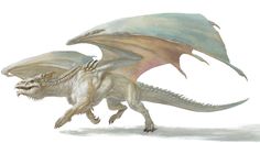 a drawing of a dragon with its wings spread