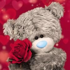 a gray teddy bear holding a red rose in its mouth with the words, not all