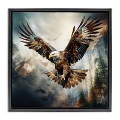 an eagle soaring through the sky with mountains in the background and clouds behind it on a black frame