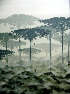 an oil painting of trees in the foggy forest on a hill top with low lying clouds