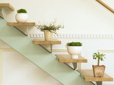 two potted plants sitting on top of wooden shelves next to a stair case in a house