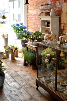 a room filled with lots of potted plants next to a brick wall and windows