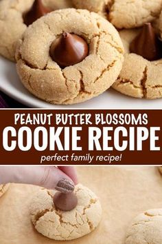 peanut butter blossoms cookie recipe on a white plate