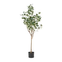 Species: Eucalyptus Tree. Leaf Material: Plastic. Frame Material: Iron. Best Selling Home Decor 59-in Green, Black Indoor Eucalyptus Artificial Tree | 313748 Faux Eucalyptus Tree, Plant Eucalyptus, Indoor Greenery, Artificial Eucalyptus, Faux Leaf, Eucalyptus Tree, Silk Plants, Artificial Trees, Potted Trees