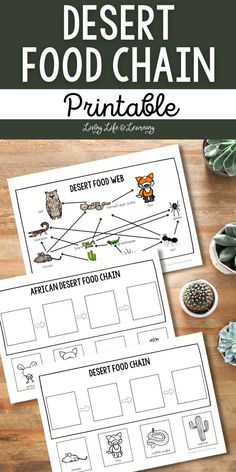 the desert food chain printable is shown with cactuses and succulents