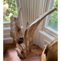 a piece of driftwood sitting on top of a wooden floor next to a window