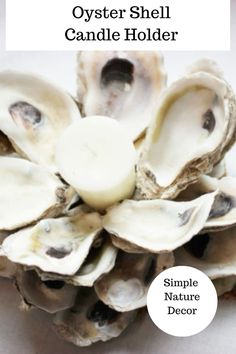 an oyster shell candle holder is shown with the text, simple nature decor for your home