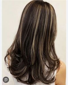 T Section Highlights Hair Dark Brown, Caramel Chunky Highlights, Skunk Hair, Hair Blond, Dark Hair With Highlights