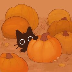 a black cat peeking out from between several pumpkins