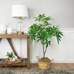 a small tree in a wicker basket on the floor