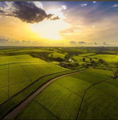 an aerial view of the sun setting over green fields and farm land, with trees in the foreground