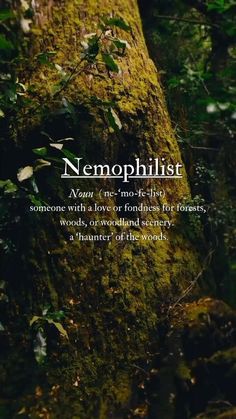 a mossy tree trunk with the words nemophilist written in white on it