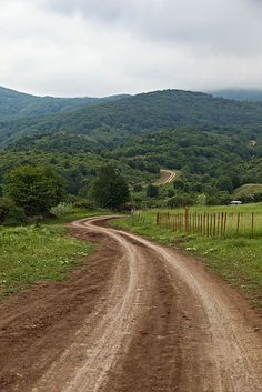 a dirt road in the middle of a lush green field