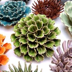 many different types of plants are arranged together on the table, including pine cones and succulents