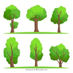 four different trees with green leaves