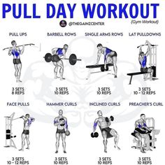 Dumbbell Pull Day, Pull Dumbbell Workout, Pull Day Workout Dumbbell, Pull Day Workout Gym, Pull Workouts, Pull Workout, Pull Day Workout