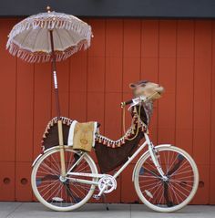 a white bicycle with a brown saddle and an umbrella