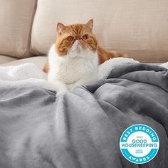 an orange and white cat laying on top of a bed covered in a gray blanket