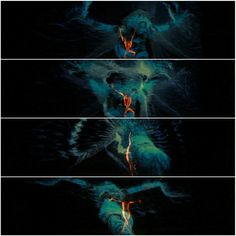 four different images of an elephant in the dark