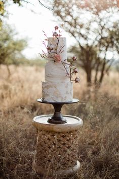 a three tiered cake sitting on top of a table in the middle of a field