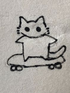 a drawing of a cat riding a skateboard on a towel that has been drawn onto