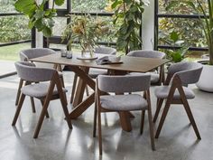 a dining table with six chairs and a potted plant in the middle, near large windows