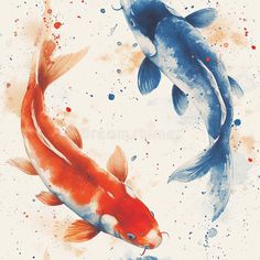 watercolor painting of two koi fish swimming in the pond royalty free stock images