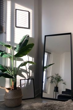 a large mirror sitting next to a plant on top of a rug in front of a window