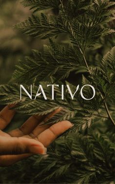 a person's hand with the word nattivvo in front of them, surrounded by greenery