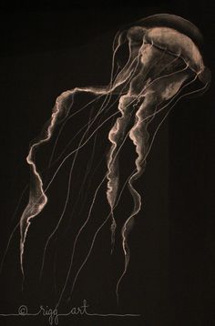 a black and white photo of a jellyfish