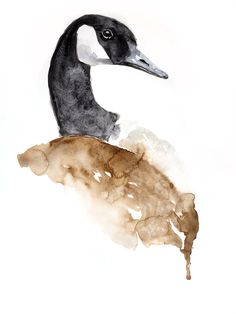 a watercolor and ink painting of a duck